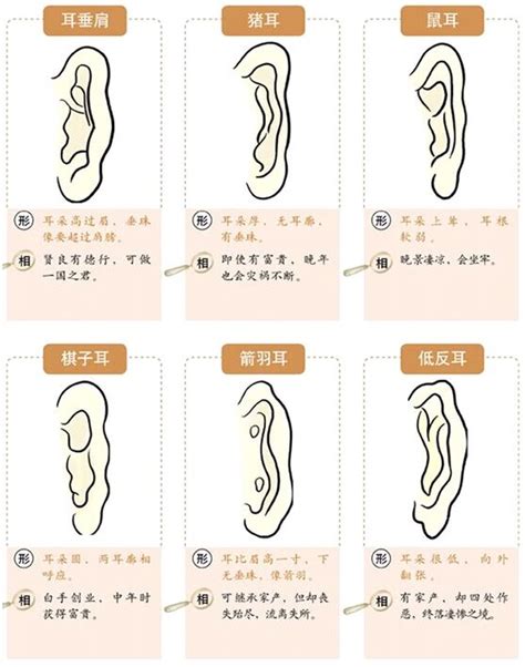 耳垂朝上|面相耳朵图解【最详细版】 – 杨易德全集官网